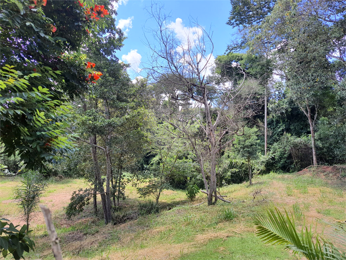 Foto REO1078926