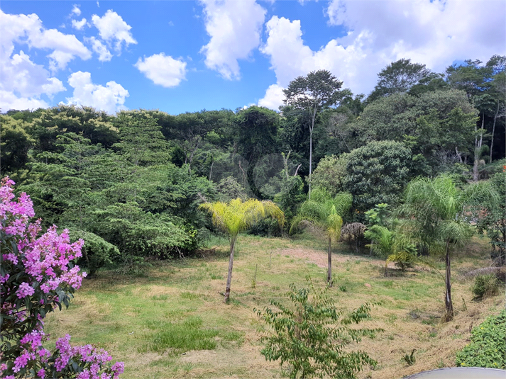 Foto REO1078926