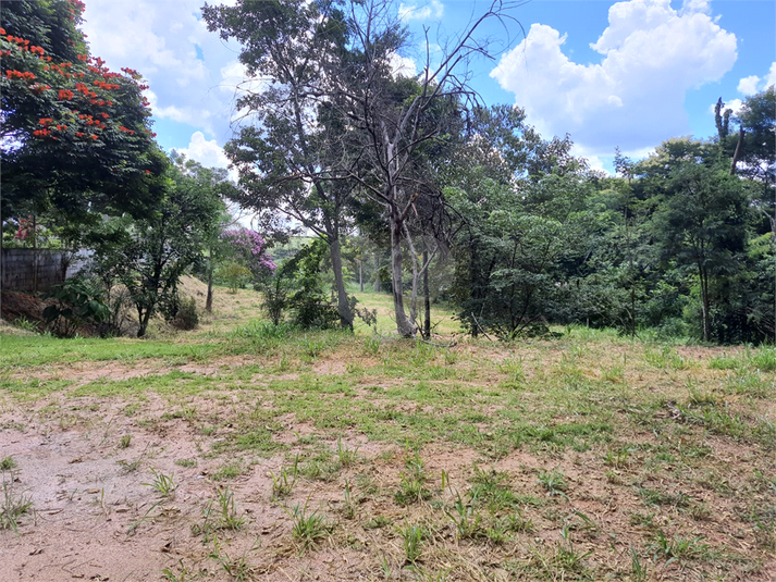 Foto REO1078926