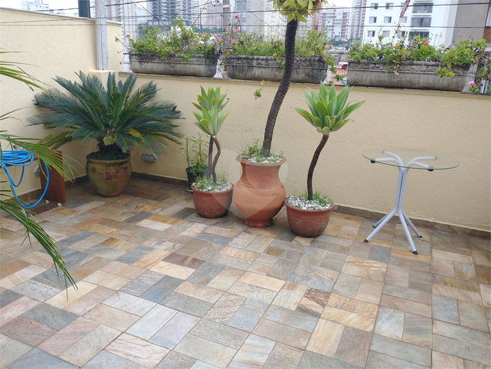 Foto REO1078929