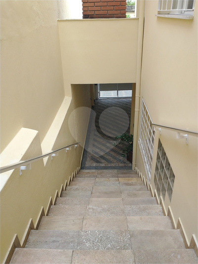 Foto REO1078929