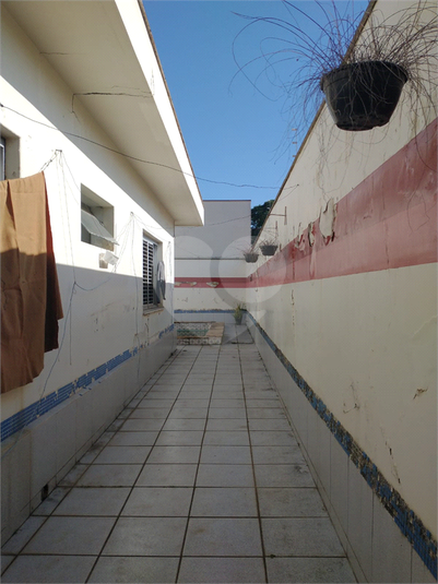 Foto REO1078929