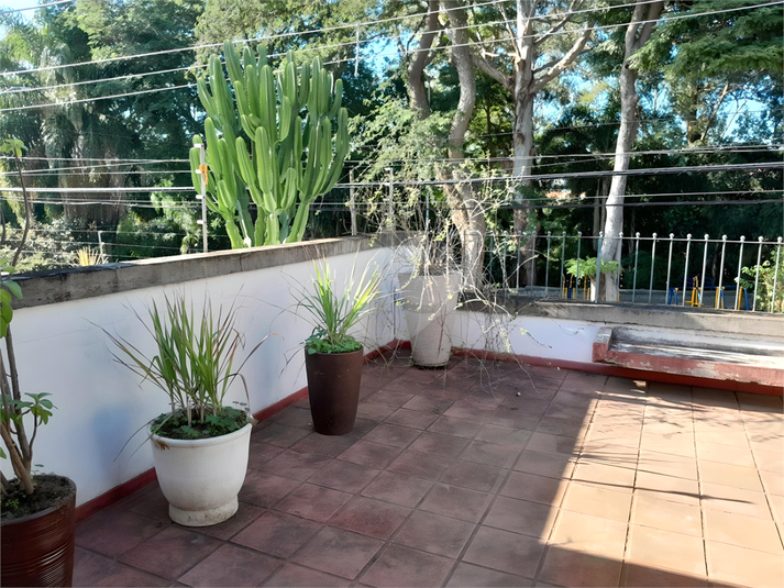 Foto REO1078929
