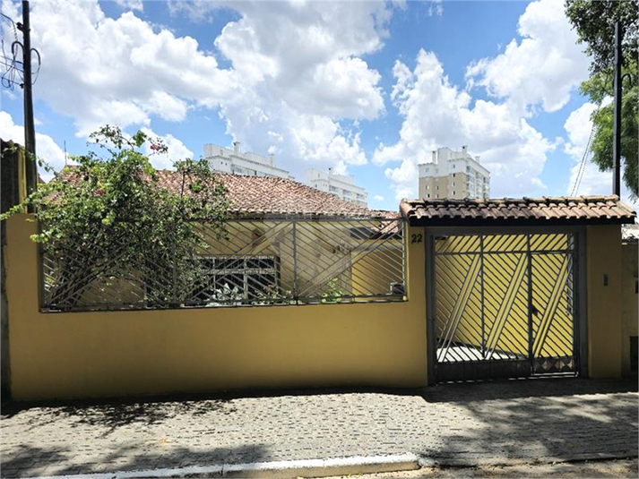 Foto REO1078946