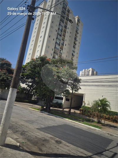 Foto REO1078948