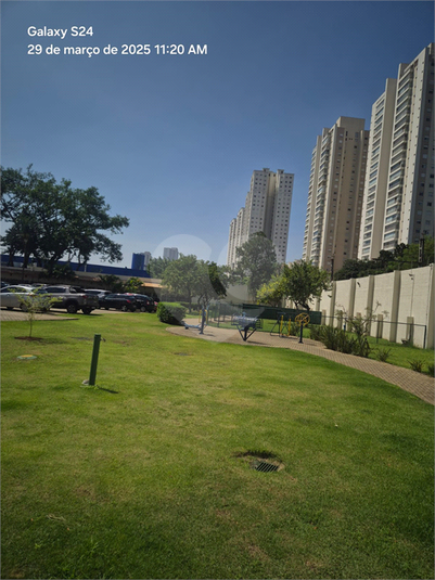 Foto REO1078948