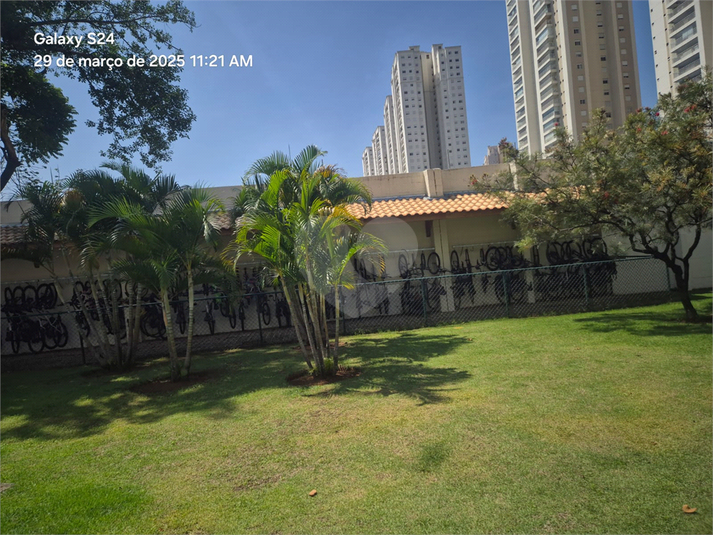 Foto REO1078948