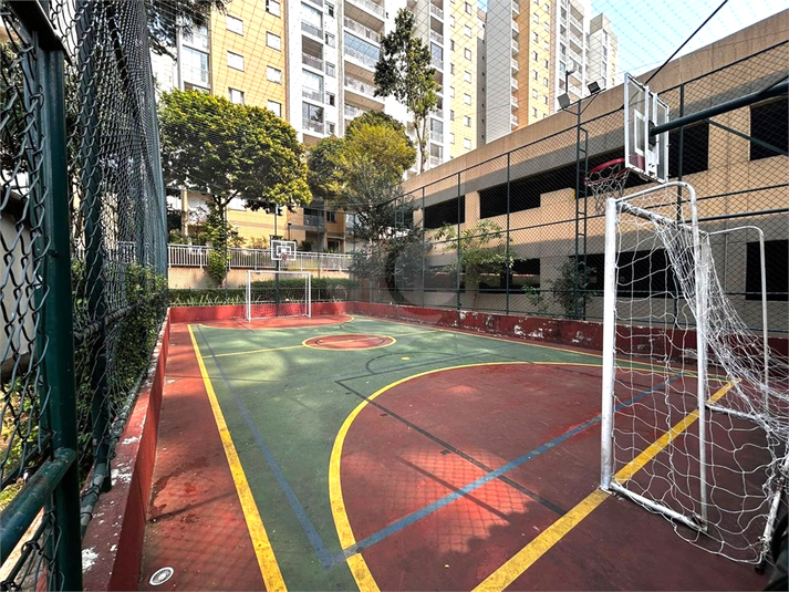 Foto REO1078966