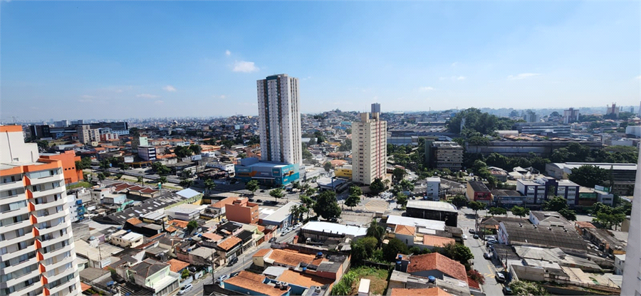 Foto REO1078978