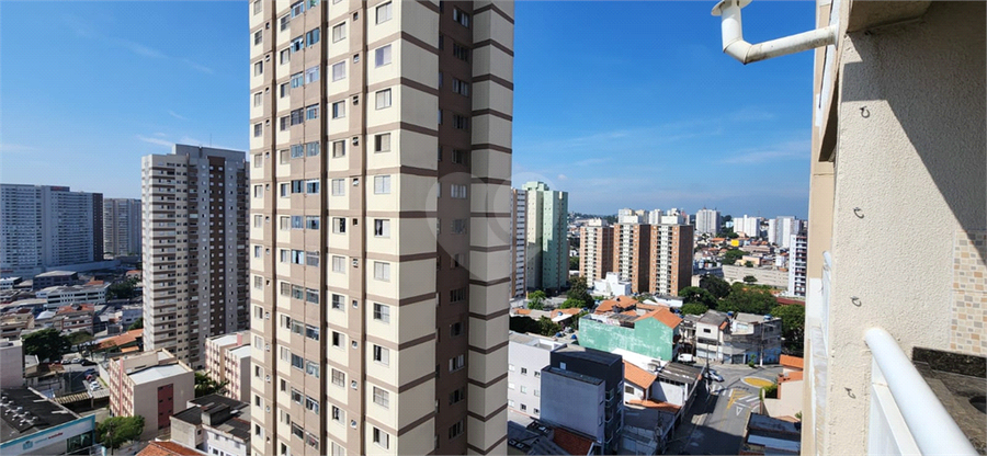 Foto REO1078978