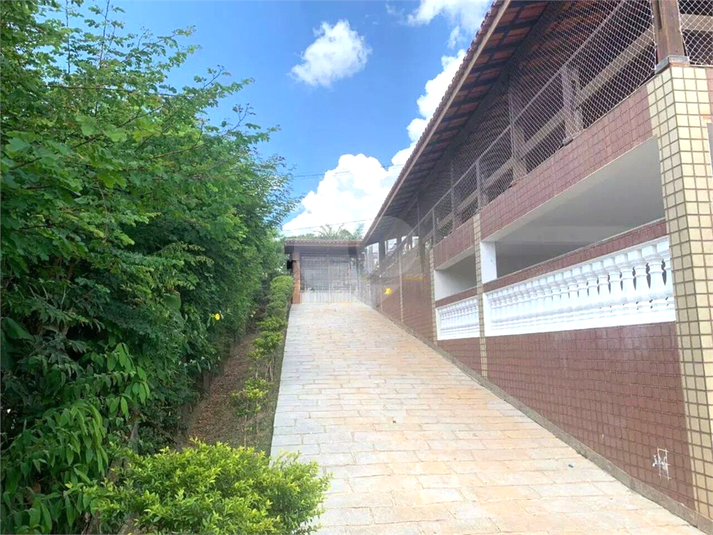 Foto REO1078980