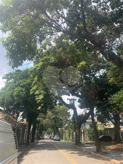 Foto REO1078981