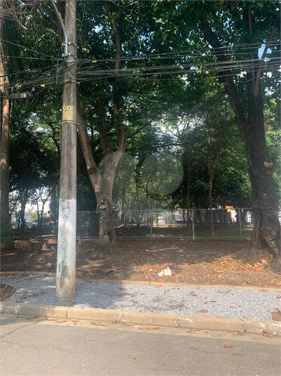 Foto REO1078981