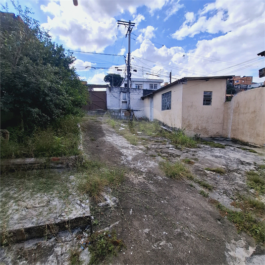 Foto REO1079011