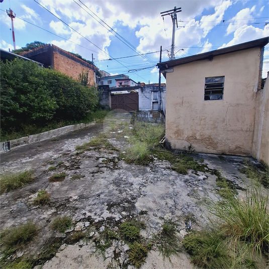 Foto REO1079011