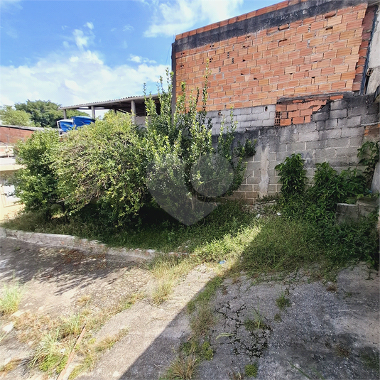 Foto REO1079011