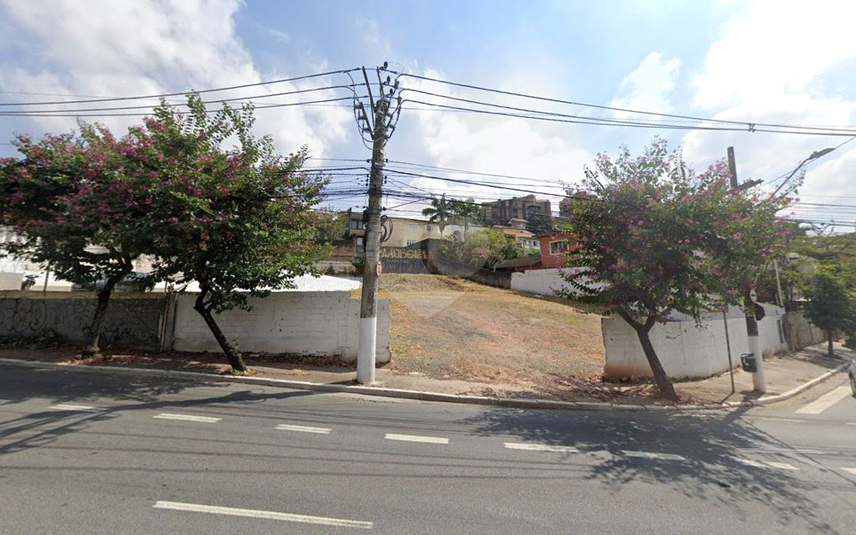 Foto REO1079046