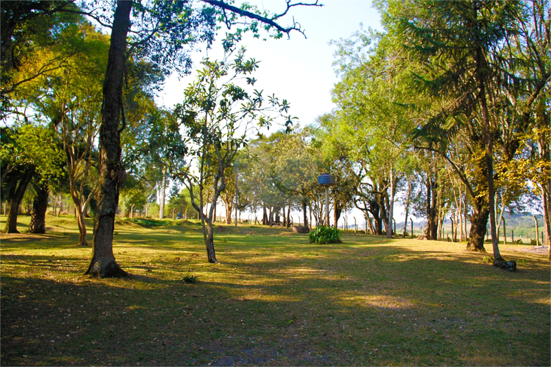 Foto REO1079057