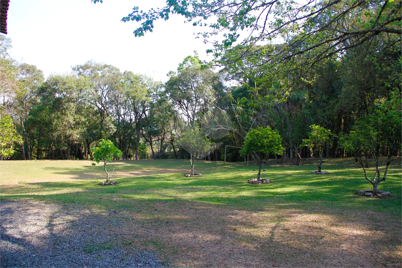 Foto REO1079057