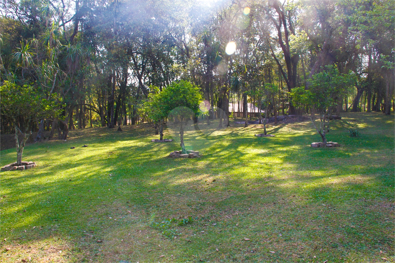 Foto REO1079057