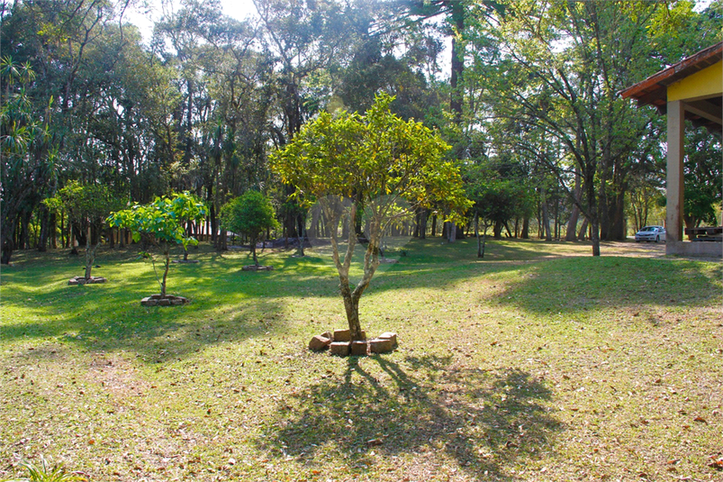 Foto REO1079057