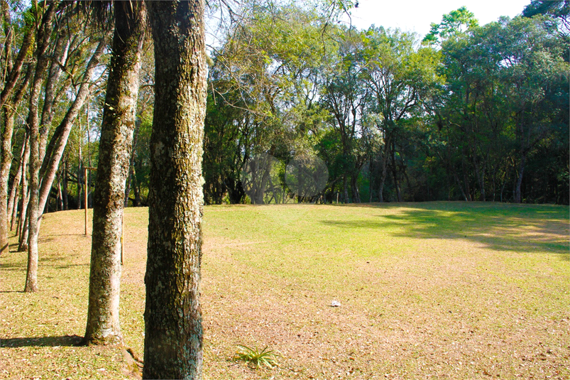 Foto REO1079057