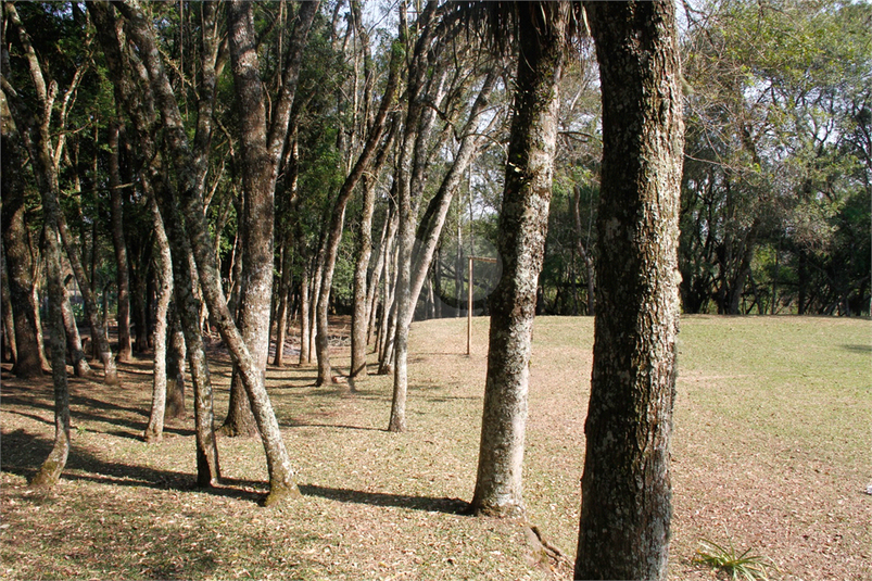 Foto REO1079057
