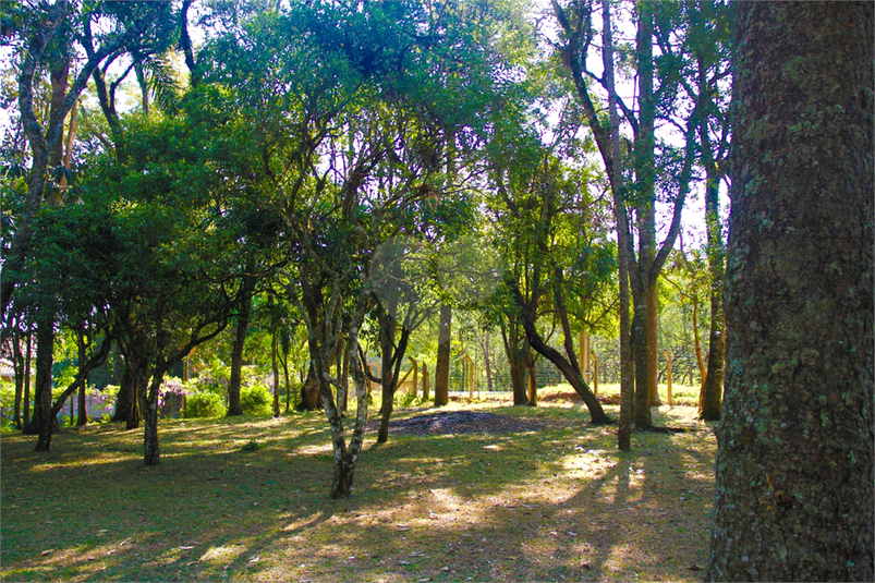 Foto REO1079057