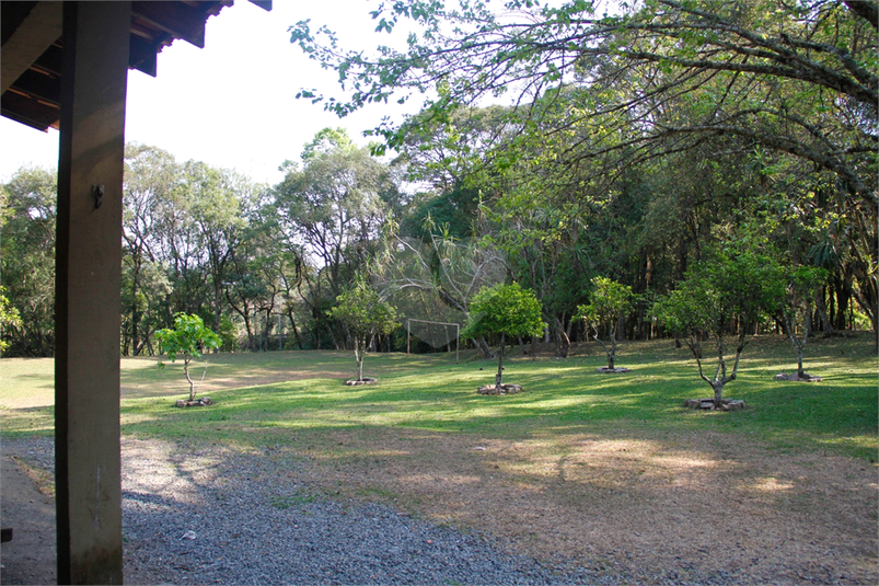 Foto REO1079057