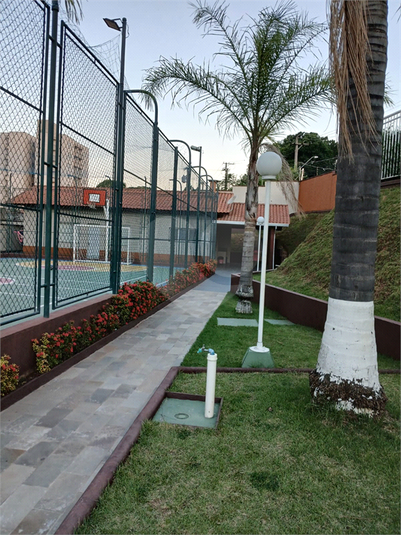 Foto REO1079069