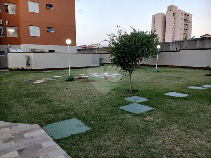 Foto REO1079069