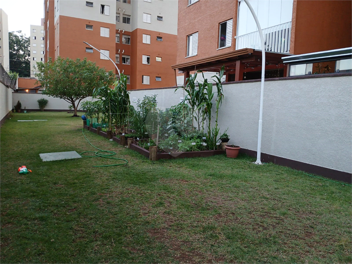 Foto REO1079069
