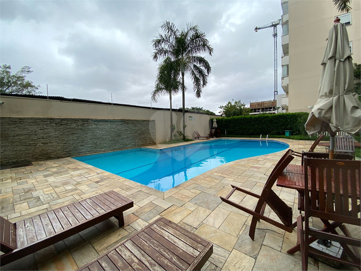 Foto REO1079105