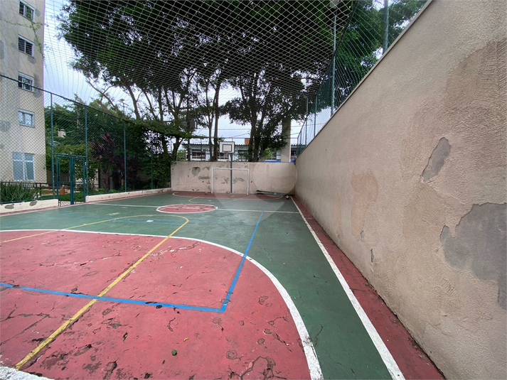 Foto REO1079105