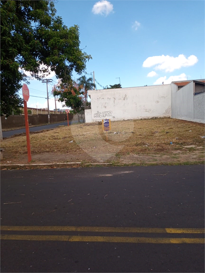 Foto REO1079120