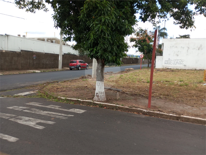 Foto REO1079120