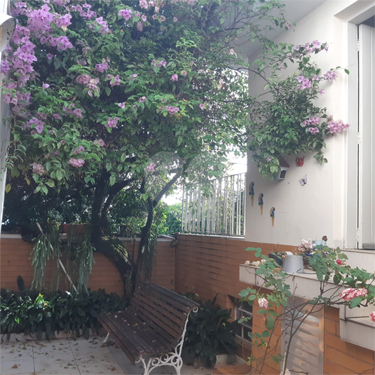 Foto REO1079138