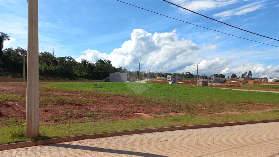 Foto REO1079149