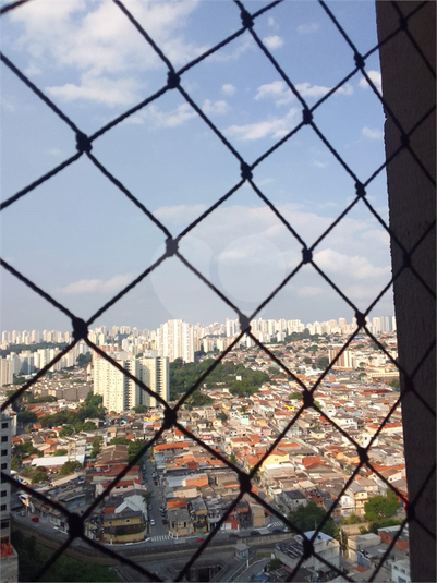 Foto REO1079152