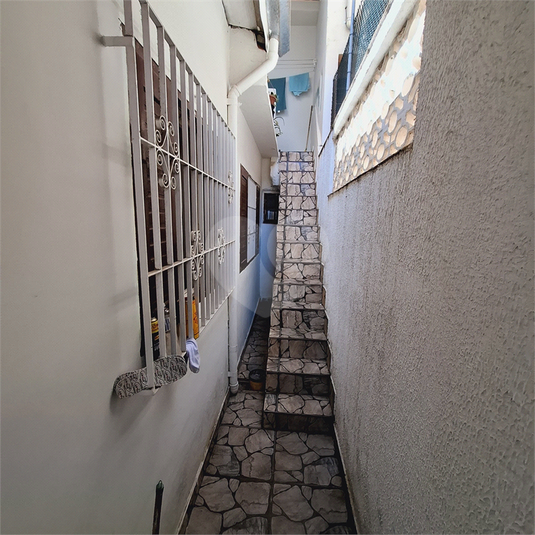 Foto REO1079168