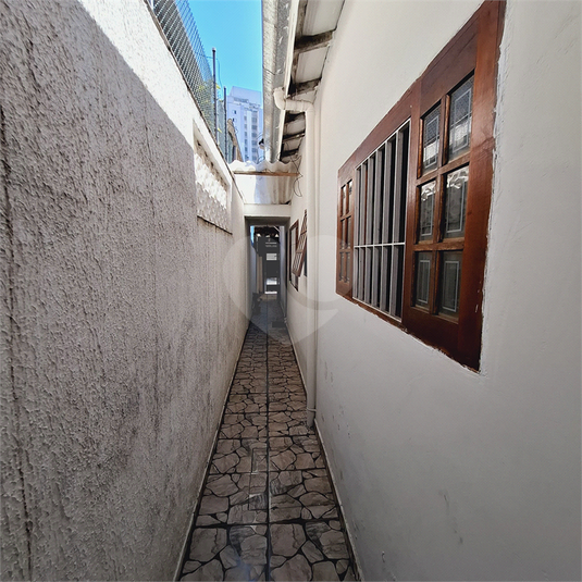 Foto REO1079168