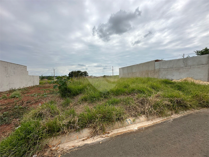Foto REO1079173