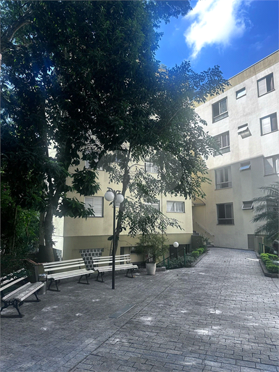 Foto REO1079175