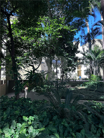 Foto REO1079175
