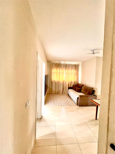 Foto REO1079187