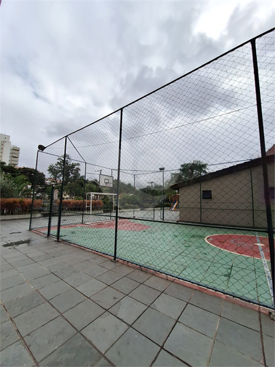 Foto REO1079194