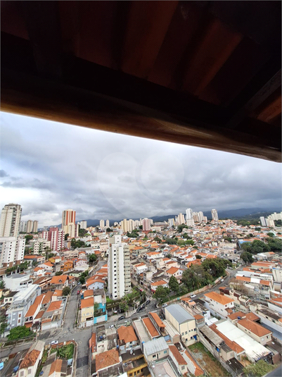 Foto REO1079194