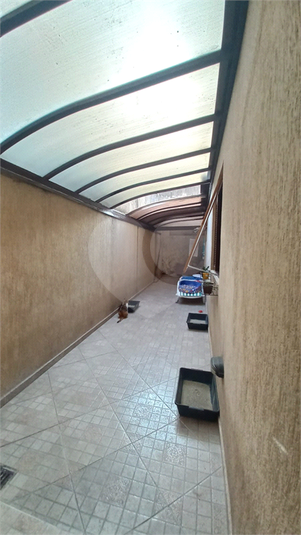 Foto REO1079222