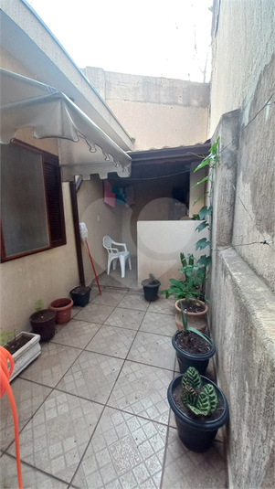 Foto REO1079222