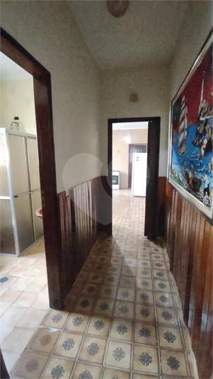 Foto REO1079232